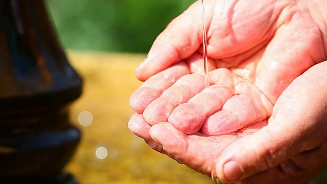 鲜水人手，秋季花园素材高清视频素材