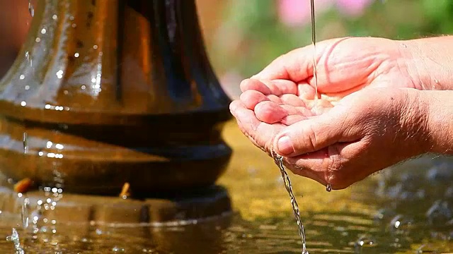 鲜水人手，秋季花园素材高清视频素材