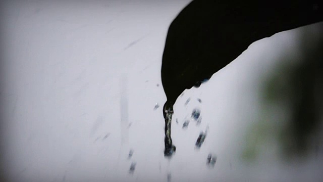 雨落树叶的慢镜头，剪影视频素材