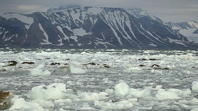 海滩上有冰。视频素材