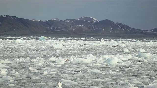 海滩上有冰。视频素材