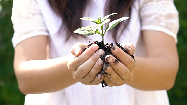 抱着植物芽的女子走向镜头视频素材