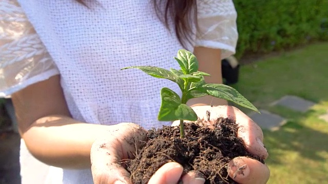 在慢镜头中，女人抱着植物树发芽。视频素材