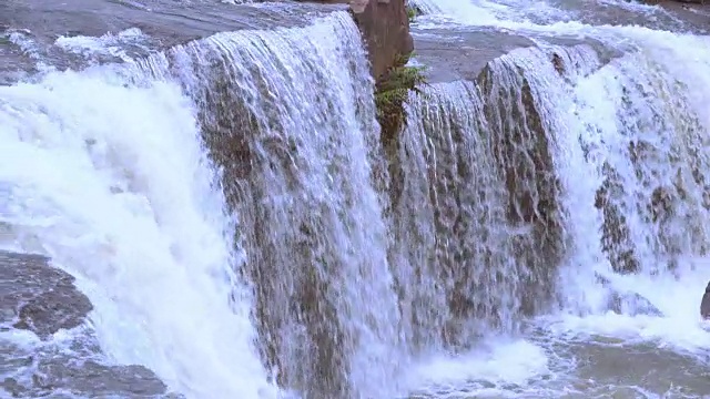 泰国山上的森林里有瀑布。“Water fall”是指在大丛林中，一条小溪或一条河流中沿着垂直的或一系列的陡坡流动的地方视频素材