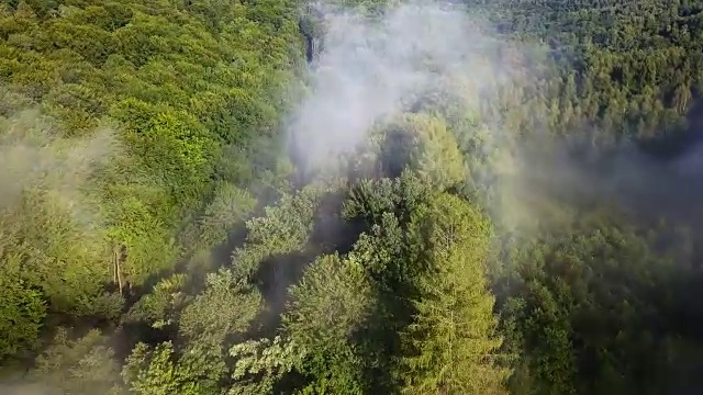 日出时森林和被雾覆盖的山丘的航拍视频素材