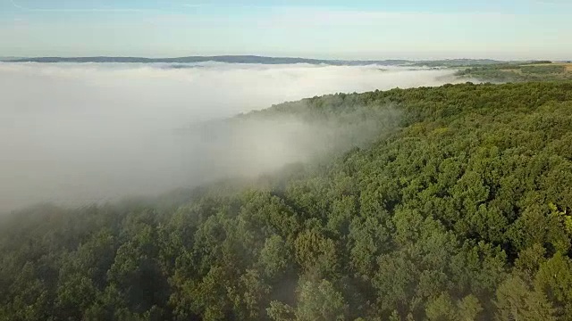 日出时森林和被雾覆盖的山丘的航拍视频素材