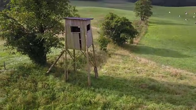 农村草地上的牧草天线视频素材