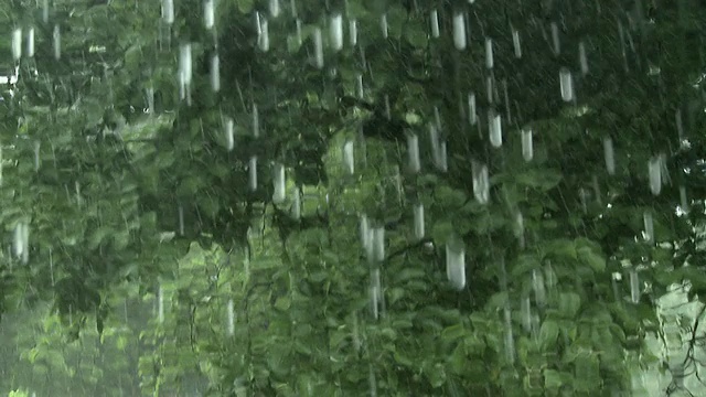 窗口雨视频素材