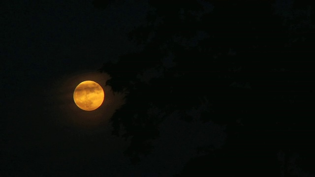 月球。夜空。视频素材