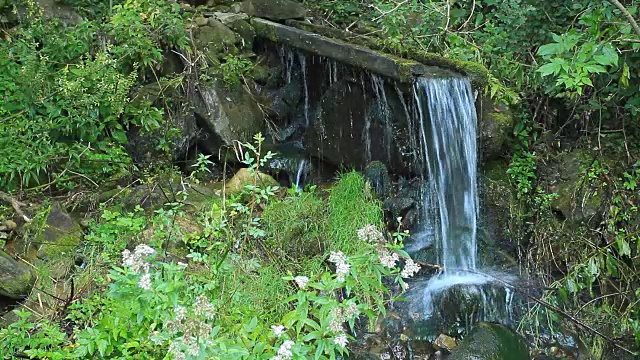 喀尔巴阡山清水秀视频素材