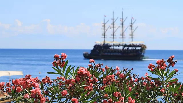 老海盗船和夹竹桃花在克默视频素材