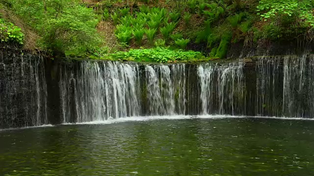 Shiraito瀑布视频素材