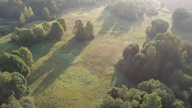 清晨的草地和树丛，空中视频素材