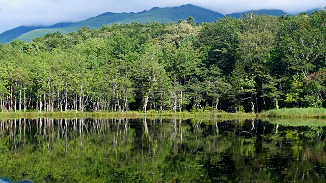 Shiretoko湖视频素材