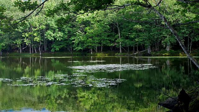 Shiretoko湖视频素材