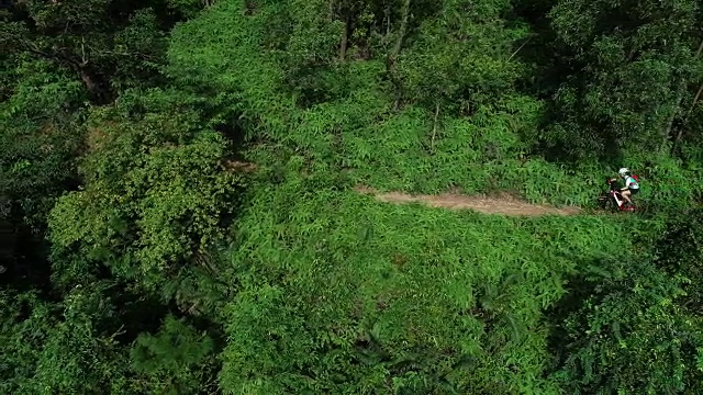 天线:夏季森林中的越野女自行车手视频素材