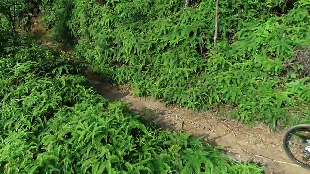 天线:夏季森林中的越野女自行车手视频素材