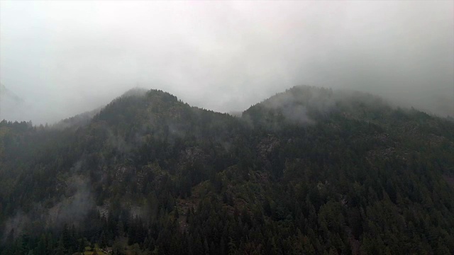 森林的全景在格雷森尼山谷而下雨视频素材