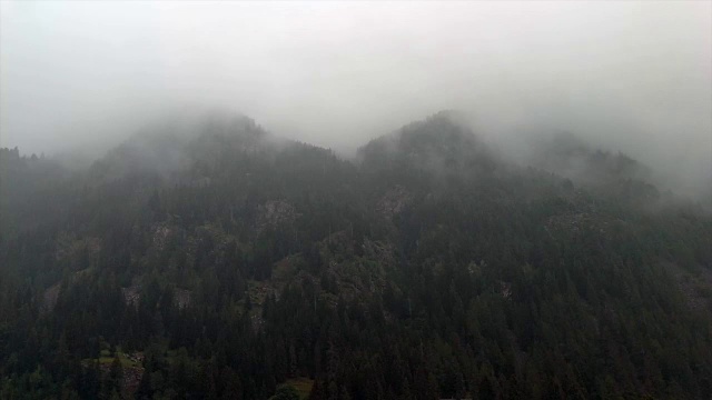 森林的全景在格雷森尼山谷而下雨视频素材