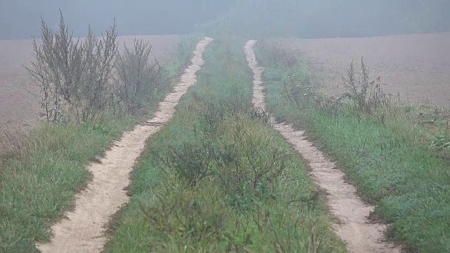 朦胧空旷的砾石路在农田和收获的田地里视频素材