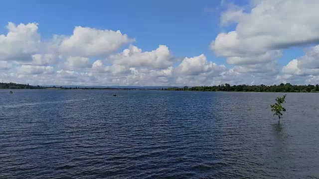 雾，湖，夏天，国家地标，水视频素材