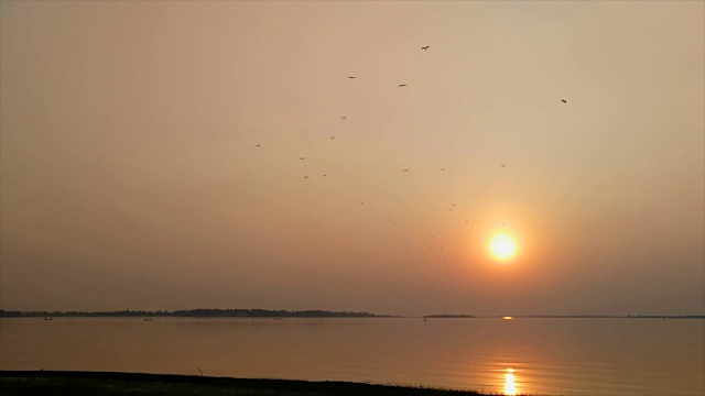 日落，鸟，湖，水，飞行视频素材