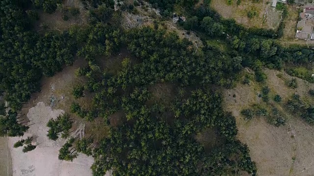 鸟瞰图拍摄上方的小镇房子旁边的松树森林视频素材