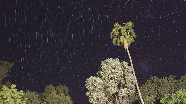 星光灿烂的夜晚，前景有一棵树，还有星星的痕迹视频素材