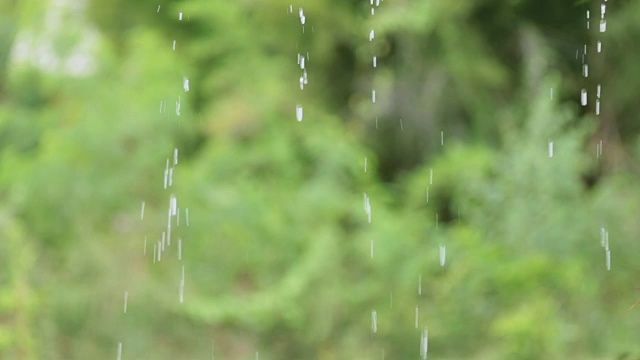 森林中的雨自然的背景视频素材