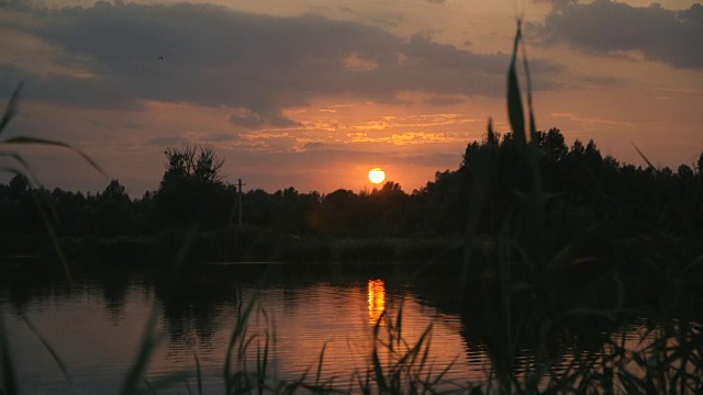 湖。湖面和地平线上的夕阳视频素材