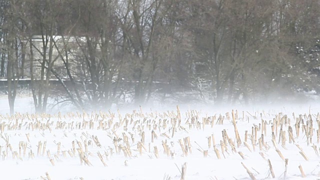 冬季山水自然美:乡村风光下降雪视频素材