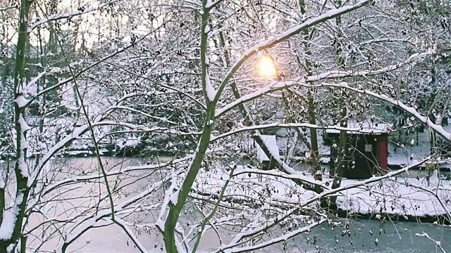 冬季景观自然美景:城市公园大雪后视频素材