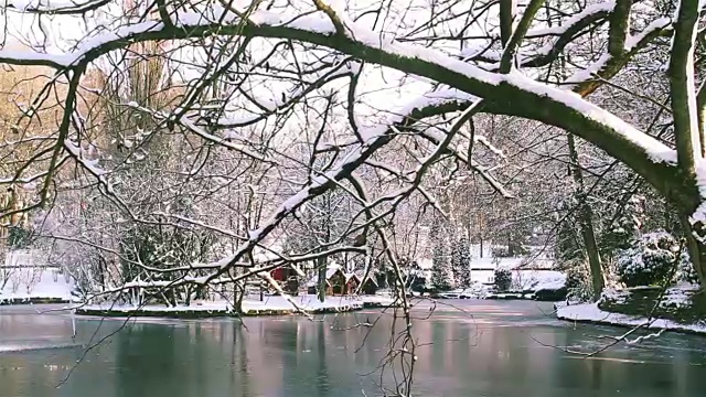 冬季景观自然美景:城市公园大雪后视频素材