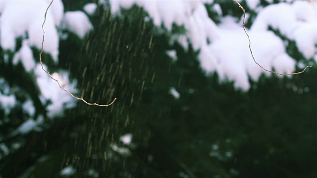 冬季景观自然美景:城市公园大雪后视频素材