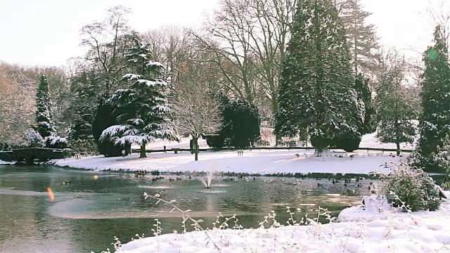 冬季景观自然美景:城市公园大雪后视频素材