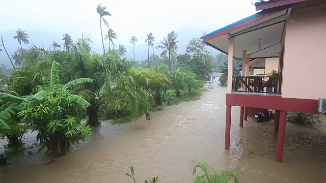 泰国帕岸岛的街道上出现了洪水和热带降雨视频素材