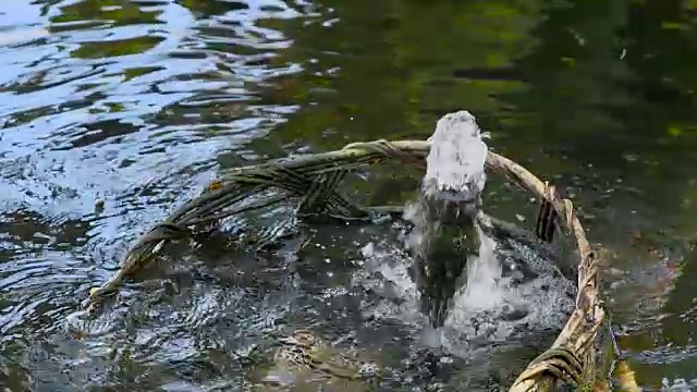 水花飞溅的慢动作视频素材