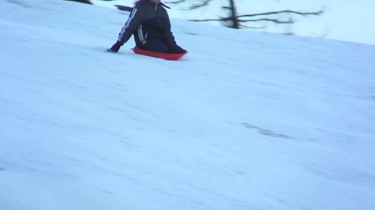 雪橇06视频素材