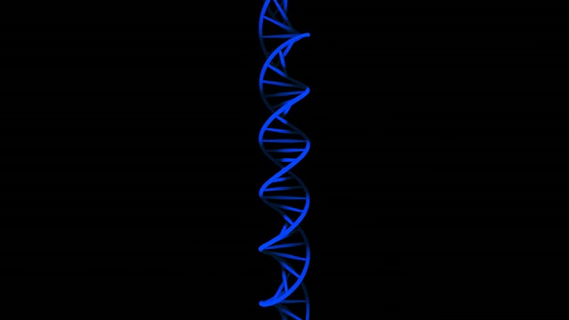 DNA旋转(蓝色，放大)。可在0:00-5:00和15:00-20:00之间循环视频素材