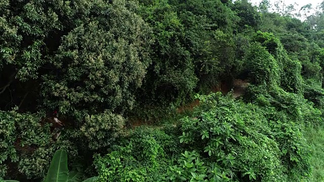 无人机在夏季森林的越野女自行车手视频素材