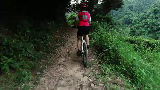 在夏天的森林里越野女自行车手视频素材