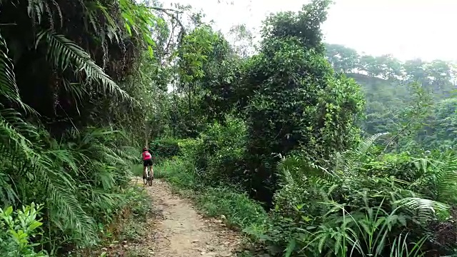 在夏天的森林里越野女自行车手视频素材