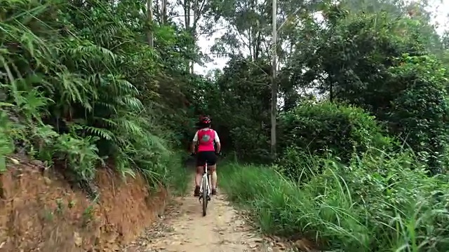 在夏天的森林里越野女自行车手视频素材