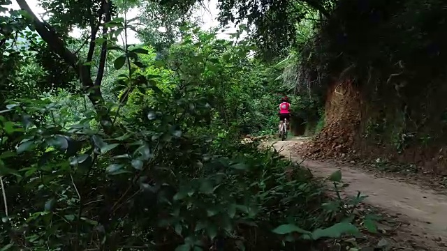 在夏天的森林里越野女自行车手视频素材