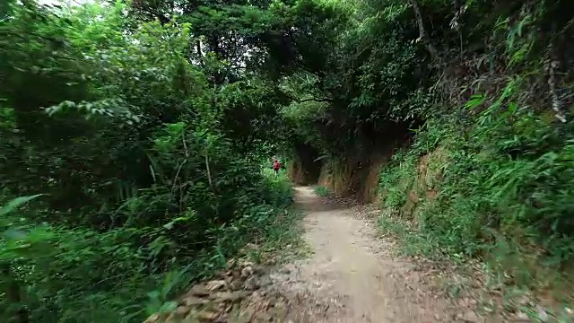 在夏天的森林里越野女自行车手视频素材