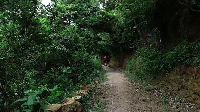 在夏天的森林里越野女自行车手视频素材