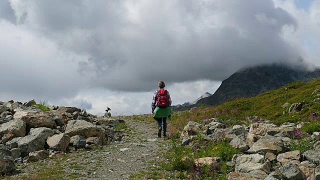 在瑞士恩加丁，一名妇女带着狗徒步旅行视频素材