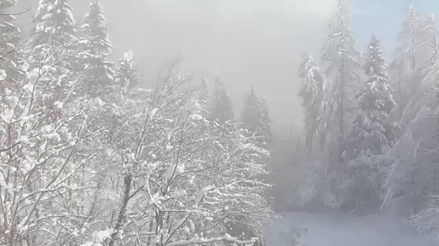 鸟瞰图:飞过一条空旷的小路，穿过风景优美的白雪覆盖的森林。视频素材