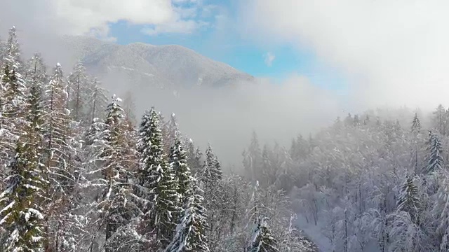 航拍:在冬天的大雾天，森林覆盖的山的美丽景色。视频素材