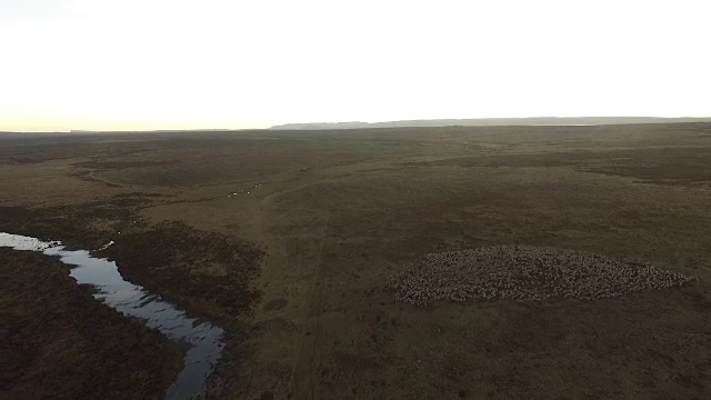 日落时分，澳洲农场的无人机，河流蜿蜒而过视频素材